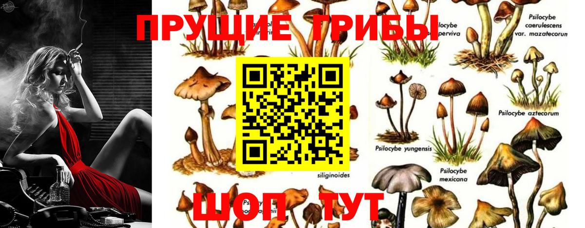 Псилоцибиновые грибы прущие грибы  Вход с VPN  Великие Луки 